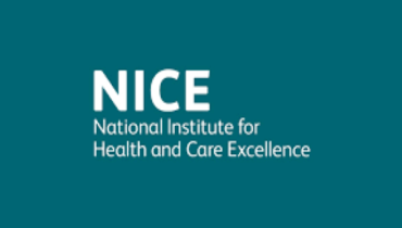 The NICE logo