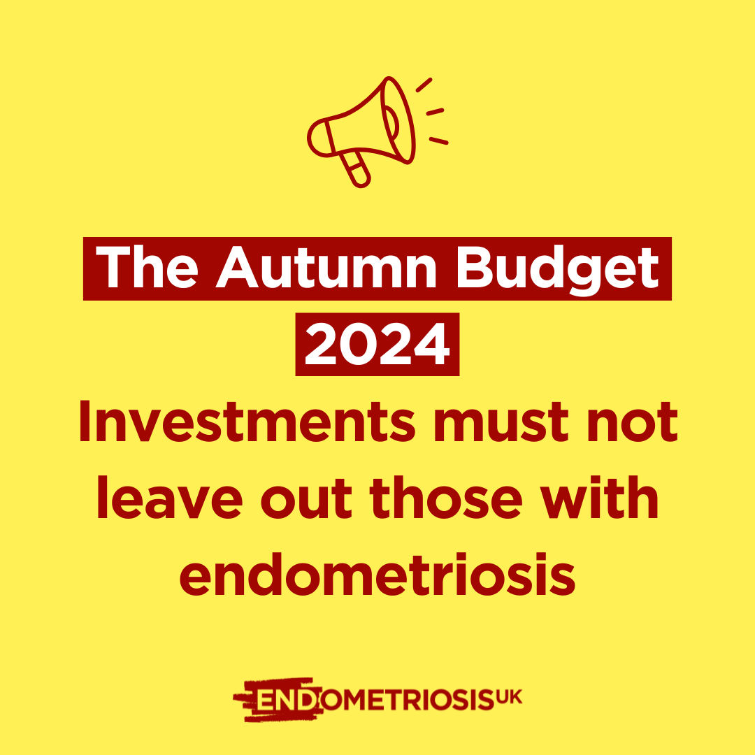 The Autumn Budget 2024: Investments must not leave out those with endometriosis