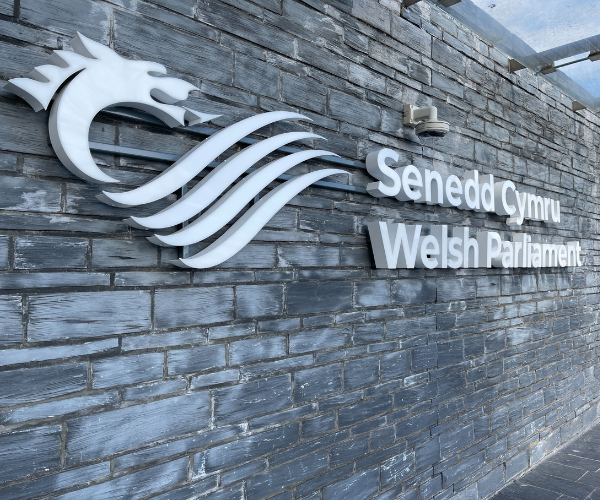 Senedd Photo