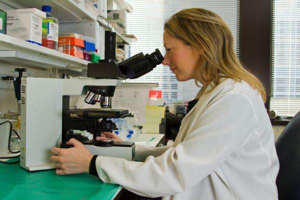 A scientist looking in a microscope