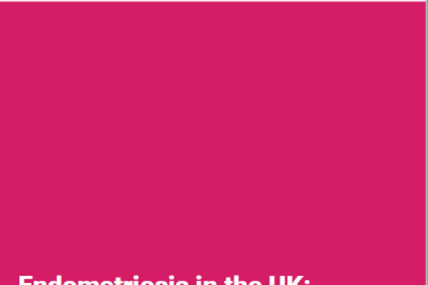 APPG on Endometriosis report