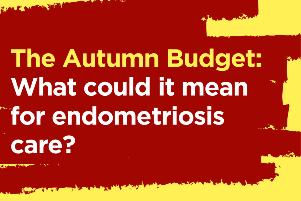 The Autumn Budget: What could it mean for endometriosis care?