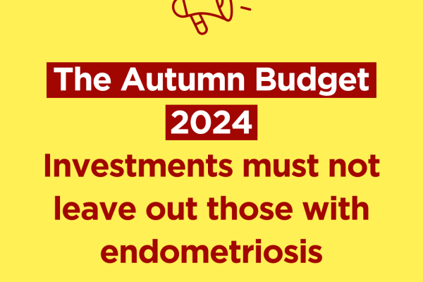 The Autumn Budget 2024: Investments must not leave out those with endometriosis